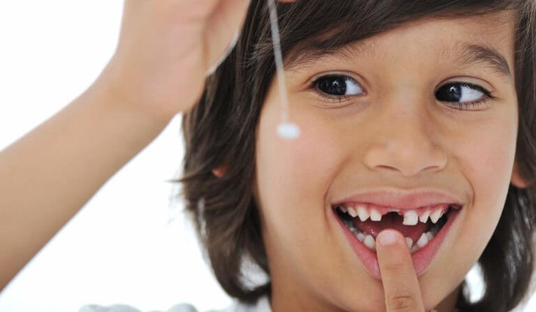 How Can I Pull My Child’s Loose Baby Tooth? Utah